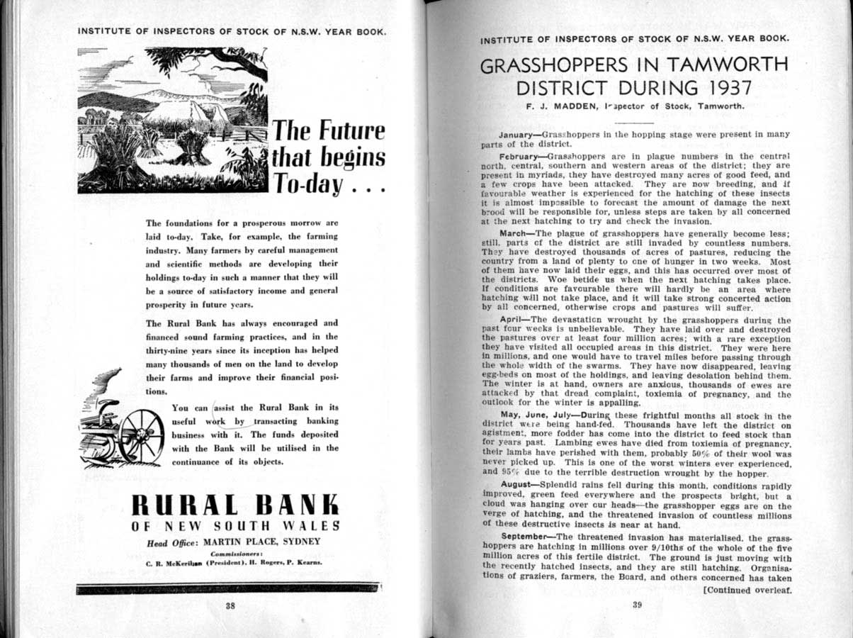 1938 Page 38 39